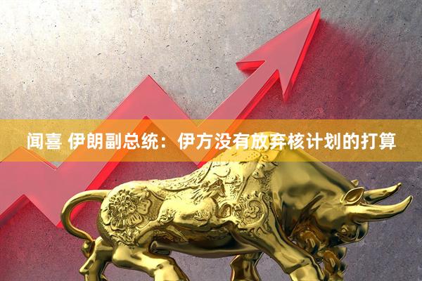 闻喜 伊朗副总统：伊方没有放弃核计划的打算