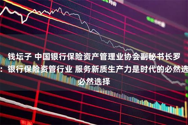 钱坛子 中国银行保险资产管理业协会副秘书长罗蓉：银行保险资管行业 服务新质生产力是时代的必然选择