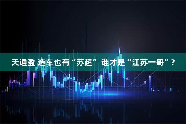 天通盈 造车也有“苏超” 谁才是“江苏一哥”？